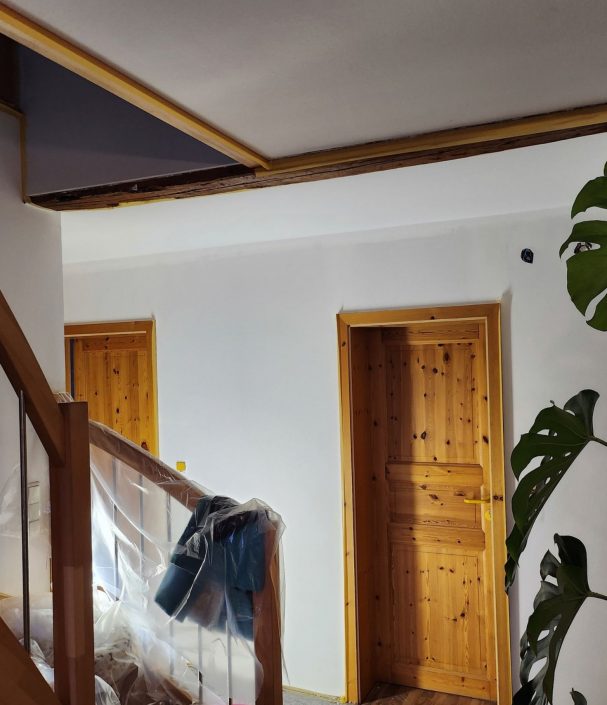 6ae2d1de-2b9f-4a6c-86bb-7e8818486abf